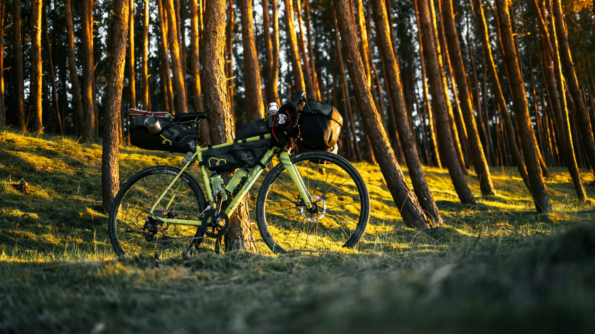 Ride adventures
