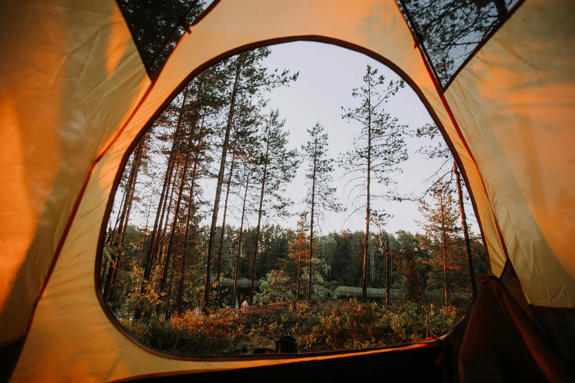 Camp adventures